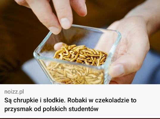 "przysmak studentw" ? Naprawd?